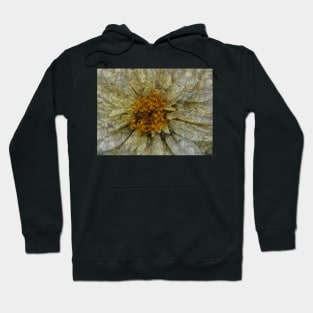 zinnia flower bloom in delicate white floral fantasy Hoodie